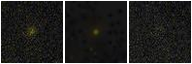Missing file PGC039649-custom-montage-FUVNUV.png