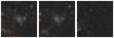 Missing file PGC039662-custom-montage-W1W2.png