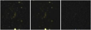 Missing file PGC039669-custom-montage-FUVNUV.png