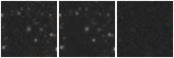Missing file PGC1283020-custom-montage-W1W2.png