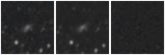 Missing file PGC1294753-custom-montage-W1W2.png