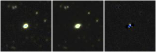 Missing file PGC1314461-custom-montage-FUVNUV.png
