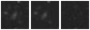 Missing file PGC1419134-custom-montage-W1W2.png
