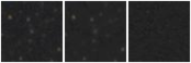 Missing file PGC1466850-custom-montage-W1W2.png