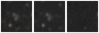 Missing file PGC1475898-custom-montage-W1W2.png