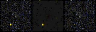 Missing file PGC2832110-custom-montage-FUVNUV.png