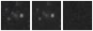 Missing file SDSSJ121722.25+052545.2-custom-montage-W1W2.png