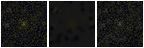 Missing file SDSSJ121744.76+060457.6-custom-montage-FUVNUV.png