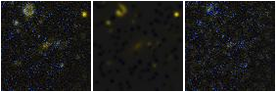 Missing file SDSSJ121820.56+045113.6-custom-montage-FUVNUV.png
