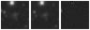 Missing file SDSSJ121907.33+073805.5-custom-montage-W1W2.png