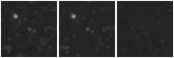 Missing file VFID4108-custom-montage-W1W2.png