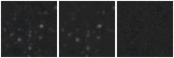 Missing file AGC229177-custom-montage-W1W2.png