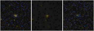 Missing file AGC229201-custom-montage-FUVNUV.png
