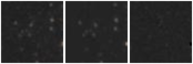 Missing file AGC749232-custom-montage-W1W2.png