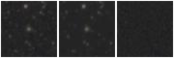 Missing file PGC039803-custom-montage-W1W2.png