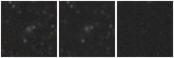 Missing file PGC039849-custom-montage-W1W2.png