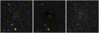 Missing file PGC039866-custom-montage-FUVNUV.png