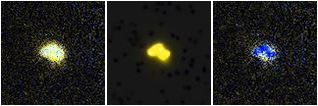 Missing file PGC039873-custom-montage-FUVNUV.png