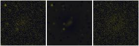 Missing file PGC039910-custom-montage-FUVNUV.png
