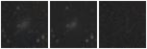 Missing file PGC039910-custom-montage-W1W2.png