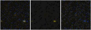 Missing file PGC039928-custom-montage-FUVNUV.png