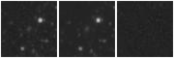 Missing file PGC039928-custom-montage-W1W2.png