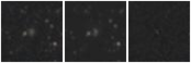 Missing file PGC039929-custom-montage-W1W2.png