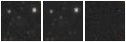 Missing file PGC039942-custom-montage-W1W2.png