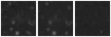 Missing file PGC039958-custom-montage-W1W2.png