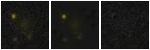 Missing file PGC039994-custom-montage-FUVNUV.png