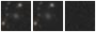 Missing file PGC040037-custom-montage-W1W2.png