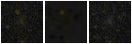 Missing file PGC040046-custom-montage-FUVNUV.png