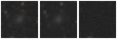 Missing file PGC040058-custom-montage-W1W2.png