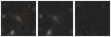 Missing file PGC040107-custom-montage-W1W2.png
