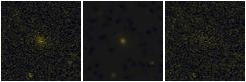 Missing file PGC040141-custom-montage-FUVNUV.png