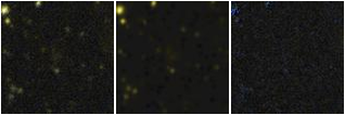 Missing file PGC040156-custom-montage-FUVNUV.png