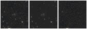 Missing file PGC040175-custom-montage-W1W2.png