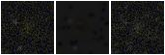 Missing file PGC040235-custom-montage-FUVNUV.png