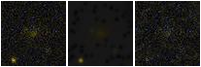 Missing file PGC040274-custom-montage-FUVNUV.png