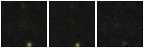 Missing file PGC040300-custom-montage-FUVNUV.png