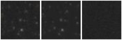 Missing file PGC1166504-custom-montage-W1W2.png