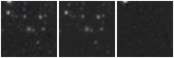 Missing file PGC1289492-custom-montage-W1W2.png