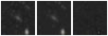 Missing file PGC1292491-custom-montage-W1W2.png