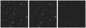 Missing file PGC2429780-custom-montage-W1W2.png