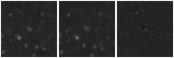 Missing file SDSSJ122054.58+032409.7-custom-montage-W1W2.png