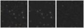 Missing file SDSSJ122311.99+375927.8-custom-montage-W1W2.png