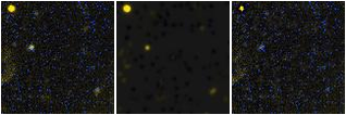 Missing file VFID6050-custom-montage-FUVNUV.png