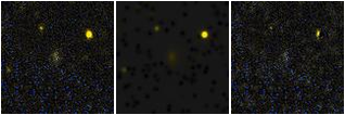 Missing file AGC227991-custom-montage-FUVNUV.png