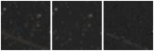 Missing file AGC227991-custom-montage-W1W2.png