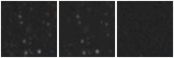 Missing file AGC229290-custom-montage-W1W2.png